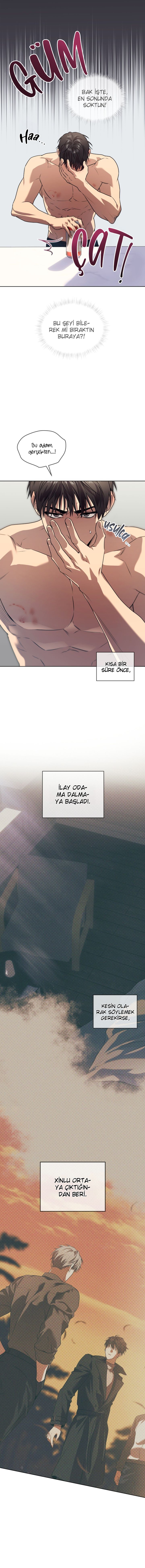 Sayfa 5